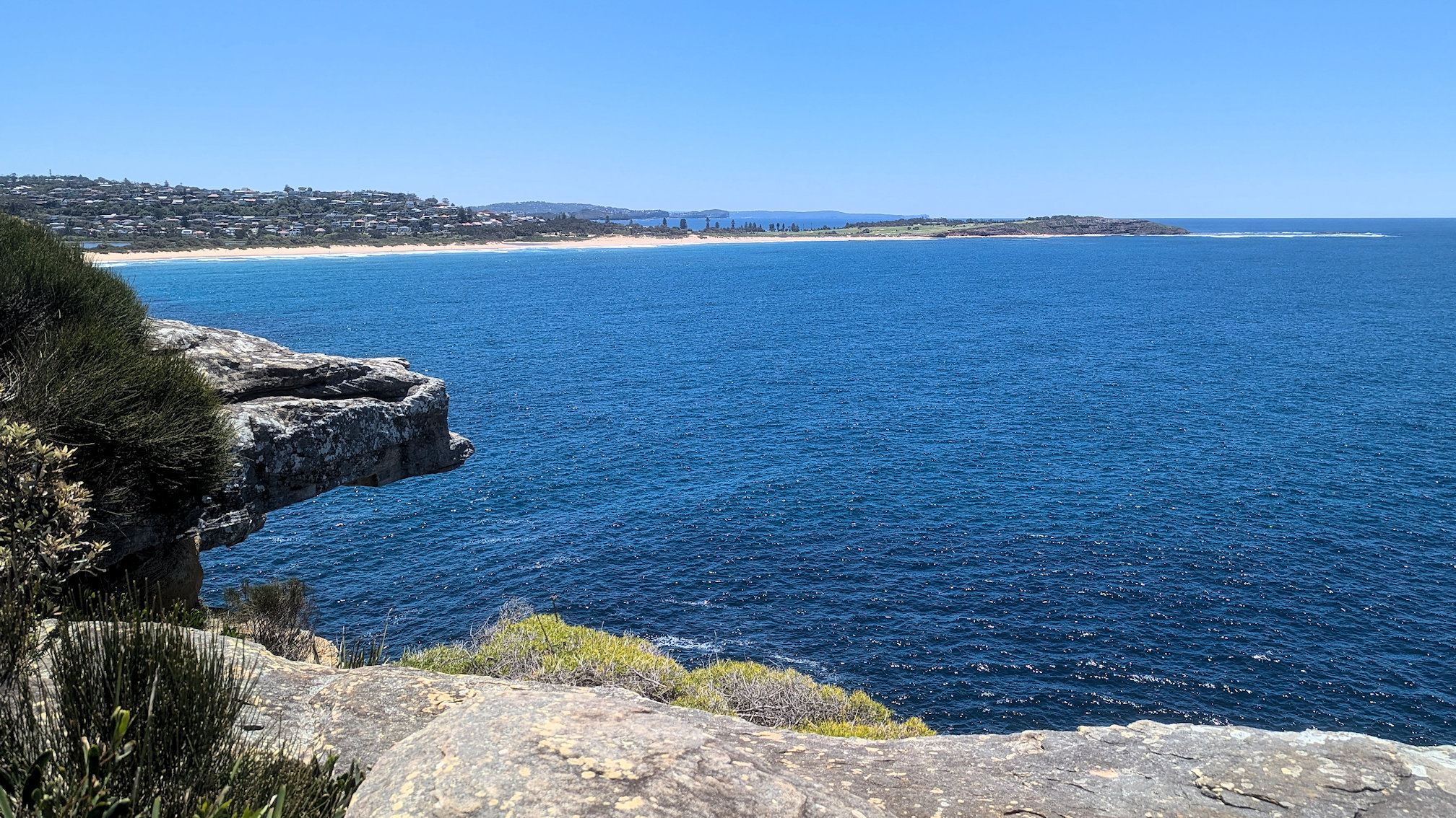 dy_curlcurl track (9)